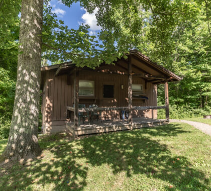 cozy cabin in the woods