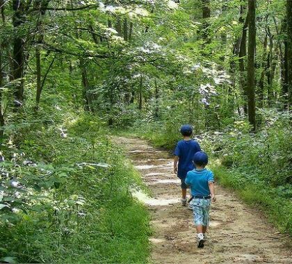 Burr Oak State Park