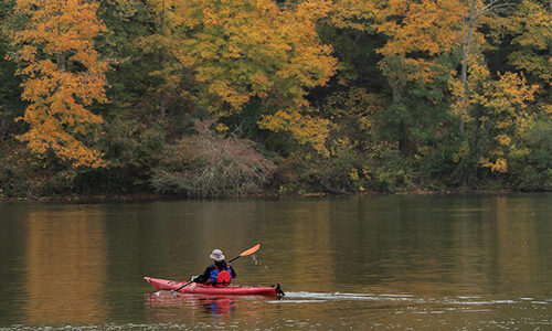 man canoeing on river