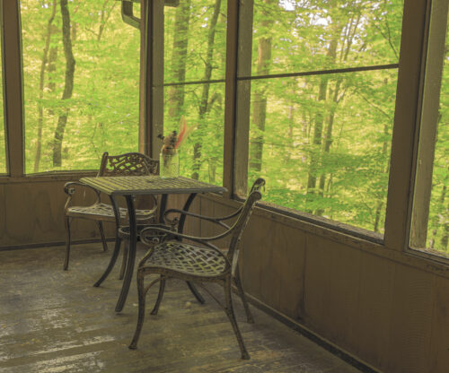 small table in sunroom surrounded by trees