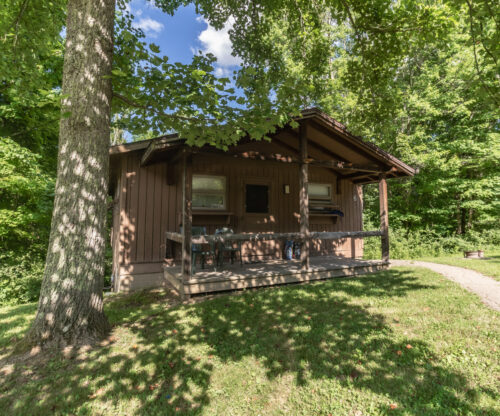 cozy cabin in the woods