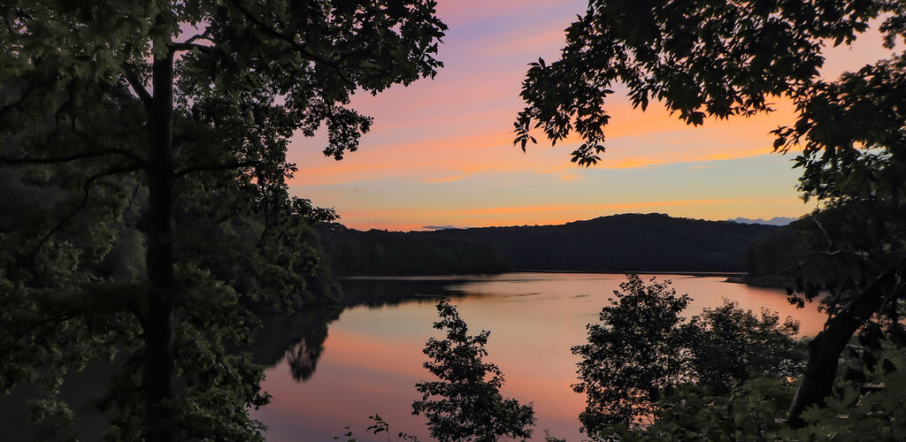 Sunset at dusk through the trees