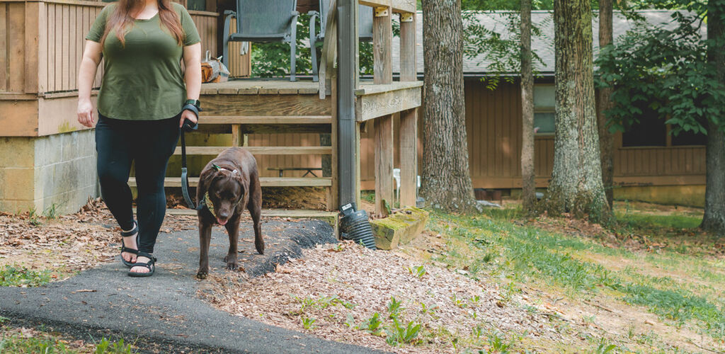 photo with a dog and owner enjoying cabins