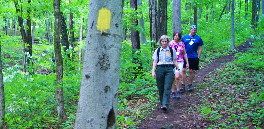 People Hiking in the woods