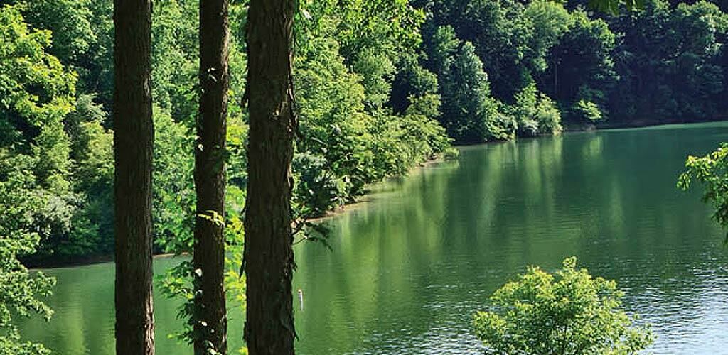 Lake overview